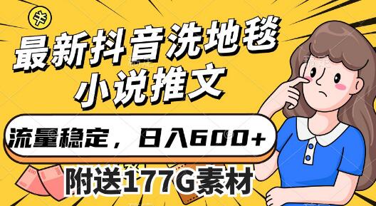 最新抖音洗地毯小说推文，流量稳定，一天收入600（附177G素材）-虫2小屋