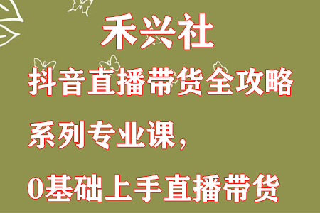 禾兴社·抖音直播带货全攻略系列专业课，0基础上手直播带货-虫2小屋