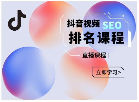森淼·抖音SEO排名引流变现，教你如何布局抖音SEO获取更多免费流量-虫2小屋