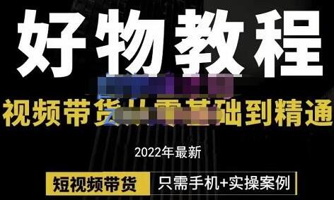 锅锅老师好物分享课程：短视频带货从零基础到精通，只需手机+实操-虫2小屋