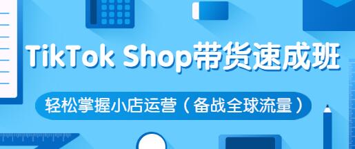 疯人院·TikTok Shop带货速成班 轻松掌握小店运营（备战全球流量）价值3599元-虫2小屋