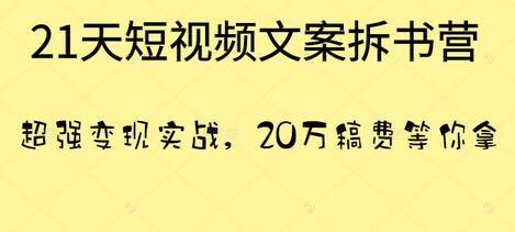 叶小鱼·21天短视频文案拆书营，超强变现实战，20万稿费等你拿-虫2小屋