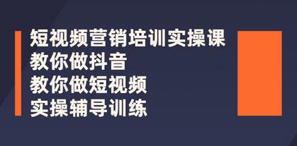蕊总很忙·短视频营销培训实操课：教你做抖音，教你做短视频，实操辅导训练-虫2小屋