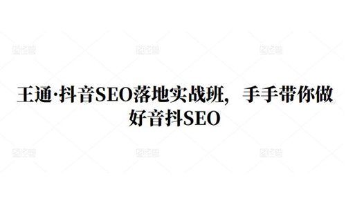 王通·抖音SEO落地实战班，手‬手带你做好抖音‬‬SEO-虫2小屋