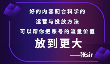 张sir账号流量增长课，告别海王流量，让你的流量更精准-虫2小屋