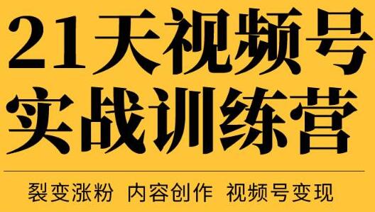 张萌21天视频号实战训练营，裂变涨粉、内容创作、视频号变现 价值298元-虫2小屋