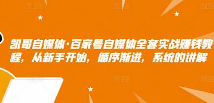 凯哥自媒体·百家号自媒体全套实战赚钱教程，从新手开始，循序渐进，系统的讲解-虫2小屋