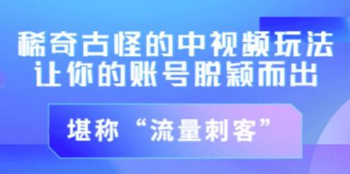 不讲李·稀奇古怪的冷门中视频冷门玩法，让你的账号脱颖而出，成为流量刺客！（图文+视频）-虫2小屋