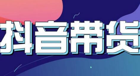抖音直播带货入门必学教程，教快速上手抖音直播带货-虫2小屋