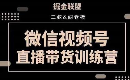 掘金联盟三叔/阎老板-视频号直播带货训练营，7月新课价值3980-虫2小屋