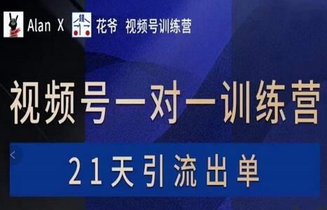 AlanX花爷·视频号引流出单训练营，视频号引流出单必杀技-虫2小屋