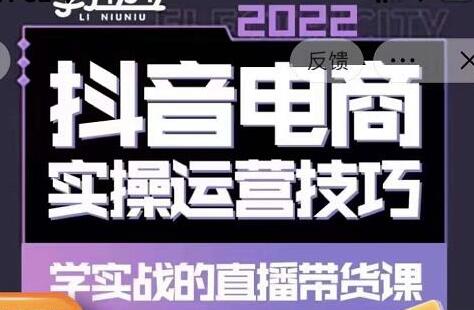 最新李扭扭·抖音电商直播带货，实操运营技巧，学实战的直播带货课-虫2小屋