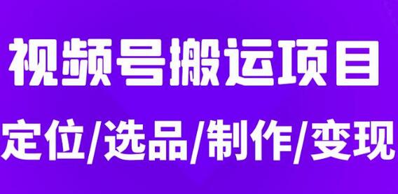 从0到1玩转视频号，月入5位数的视频号搬运项目，定位+选品+制作+变现全流程-虫2小屋
