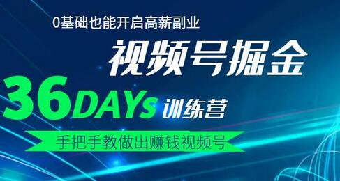 【视频号掘金营】36天手把手教做出赚钱视频号，0基础也能开启高薪副业！-虫2小屋