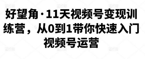 好望角·11天视频号变现训练营，从0到1带你快速入门视频号运营-虫2小屋