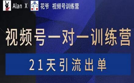 花爷×Alan×figo视频号训练营，带货，涨粉，直播，游戏，四大变现新方向，21天引流出单-虫2小屋