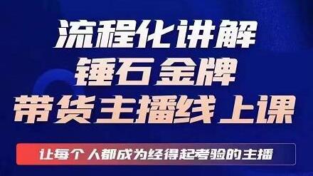 锤石传媒婉婉·金牌带货主播线上课，流程化讲解，打造金牌带货主播-虫2小屋