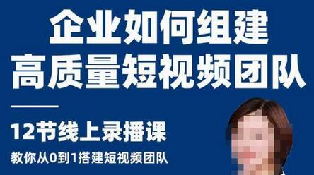 企业如何组建高质量视频团队，12节课​教你从0到1搭建短视频团队-虫2小屋
