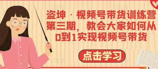 盗坤·视频号带货训练营第三期，教会大家如何从0到1实现视频号带货-虫2小屋
