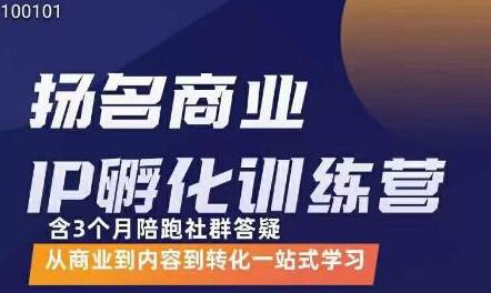 王扬名·商业IP孵化训练营，从商业到内容到转化一站式学习-虫2小屋