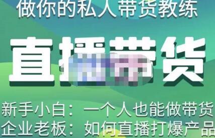 硬核传媒·直播带货（私人教练），实操实战教学，通俗易懂，学完后新手小白一个人也能做带货-虫2小屋