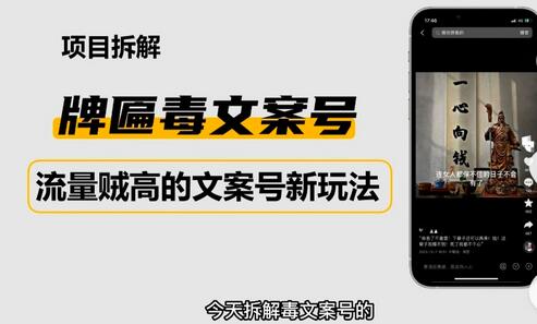 2023抖音快手毒文案新玩法，牌匾文案号，起号快易变现-虫2小屋