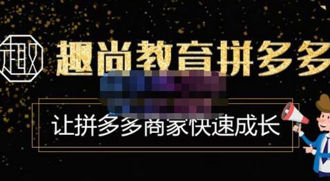 趣尚教育·拼多多运营实操VIP特训营，让拼多多商家快速成长-价值3180元-虫2小屋