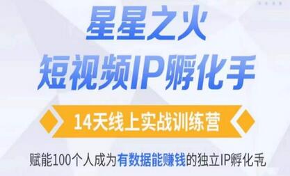 瑶瑶·自然流短视频IP孵化第二期，14天线上实战训练营，赋能100个人成为有数据能赚钱的独立IP孵化手-虫2小屋