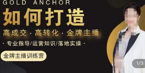 楠西·高成交主播必修课，高成交、高转化、快速拿结果-虫2小屋