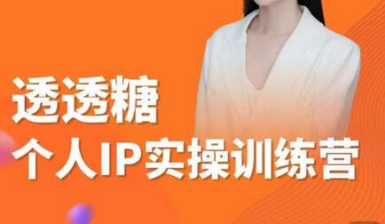 透透糖2023个人IP实操训练营，基础准备+短视频实操+高手进阶+变现落地+数据+电商-虫2小屋