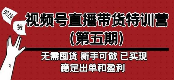 视频号直播带货特训营（第五期）无需囤货，新手可做，已实现稳定出单和盈利-虫2小屋