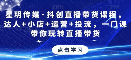星玥传媒·抖创直播带货课程，达人+小店+运营+投流，一门课带你玩转直播带货-虫2小屋