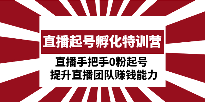直播起号孵化特训营：直播手把手0粉起号 提升直播团队赚钱能力-虫2小屋