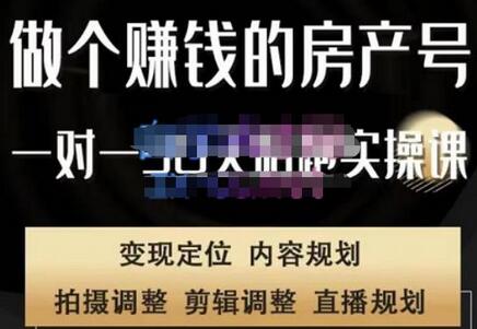 刘广标·同城房产号线上陪跑课，拍摄、剪辑、写文案、直播，做一个具有潜力价值的房产号-虫2小屋