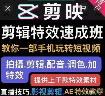 特效罗剪辑特效速成班：一部手机玩转短视频提供上千款特效素材【无水印】-虫2小屋