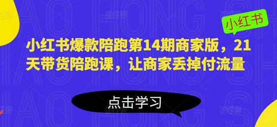 小红书爆款陪跑第14期商家版，21天带货陪跑课，让商家丢掉付流量-虫2小屋
