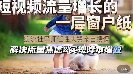 任性大舅·宠物行业短视频运营课(不讲废话)，短视频流量增长的一层窗户纸，解决流量焦虑&实现降本增效-虫2小屋