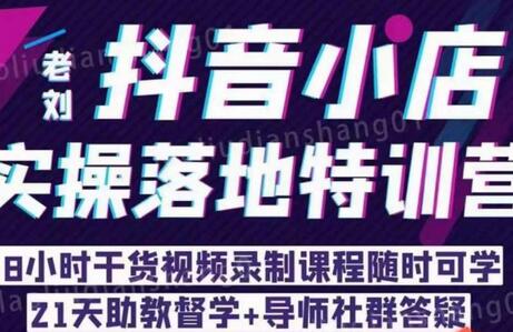 老刘·抖店商品卡流量，​抖音小店实操落地特训营，8小时干货视频录制课程随时可学-虫2小屋