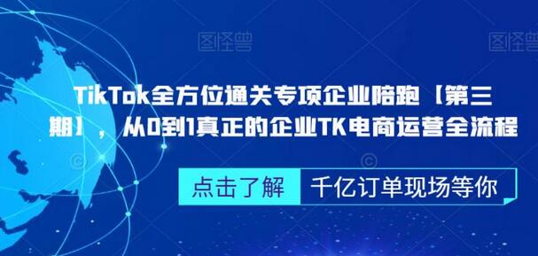 TikTok全方位通关专项企业陪跑【第三期】，从0到1真正的企业TK电商运营全流程-虫2小屋