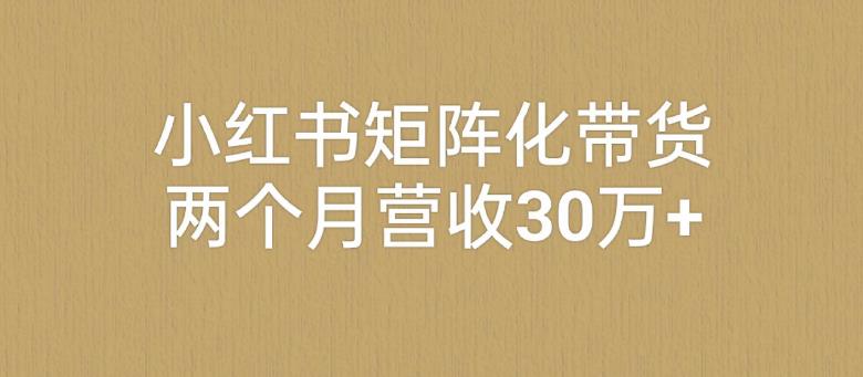 小红书矩阵化带货，两个月营收30万+-虫2小屋