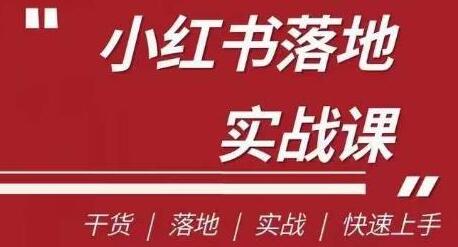 南悟·小红书医疗流量落地实战课，干货/落地/实战/快速上手-虫2小屋