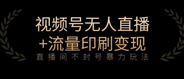 全网首发视频号不封号无人直播暴利玩法+流量印刷机变现，日入1000+-虫2小屋