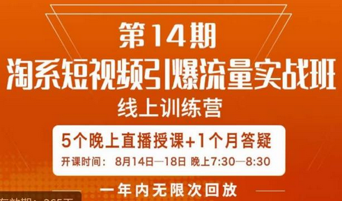 南掌柜·淘系短视频引爆流量实战班，​短视频是一个没有天花板的流量入口-虫2小屋