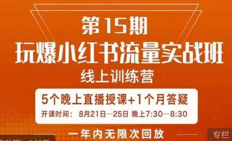 辛言玩爆小红书流量实战班，小红书种草是内容营销的重要流量入口-虫2小屋