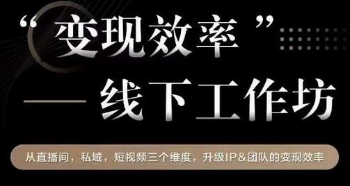 变现效率线下工作坊，从‮播直‬间、私域、‮视短‬频‮个三‬维度，升级IP和团队变现效率-虫2小屋