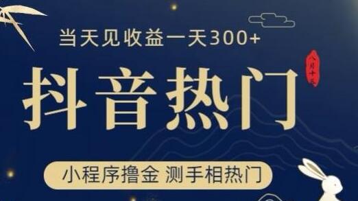 抖音最新小程序撸金，测手相上热门，当天见收益一小时变现300+-虫2小屋