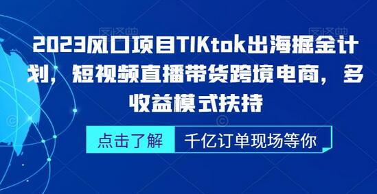 2023风口项目TikTok出海掘金计划，短视频直播带货跨境电商，多收益模式扶持-虫2小屋