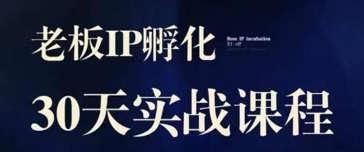 诸葛·2023老板IP实战课，实体同城引流获客，IP孵化必听-虫2小屋