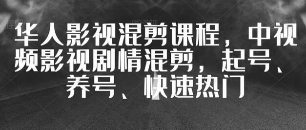 华人影视混剪课程，中视频影视剧情混剪，起号、养号、快速热门-虫2小屋