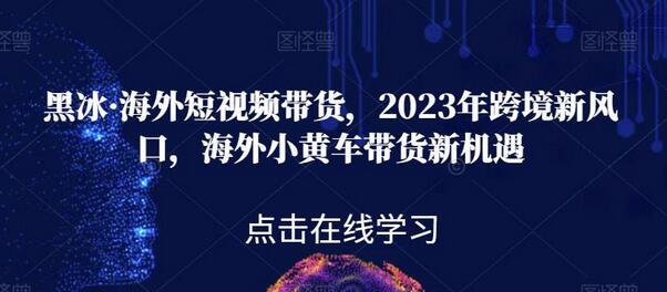 黑冰·海外短视频带货，2023年跨境新风口，海外小黄车带货新机遇-虫2小屋
